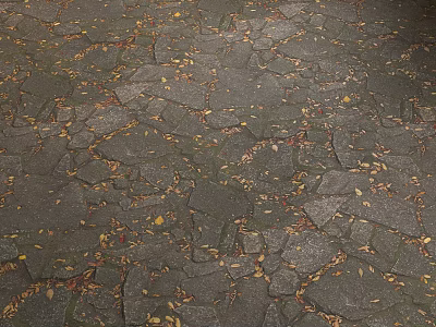 Gray Stone Slab Stepping Stones on Outdoor Garden Path With Fallen Leaves and Gaps 3d model