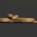 Golden Reptile Snake With Scaly Body Coiled On Dark Background With Reflection