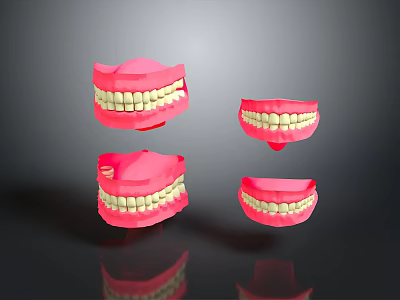 Anatomical Dental Models of Oral Organs Showing Upper Lower Jaws with Tooth Details 3d model