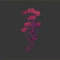Orange Flowers Blooming with Vibrant Petals Green Stems and Fresh Leaves Against Dark Background