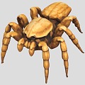 spider reptile crawling pet insect 3d model