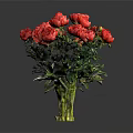 Fresh Red Peonies Bouquet In Clear Glass Vase Against Grey Background