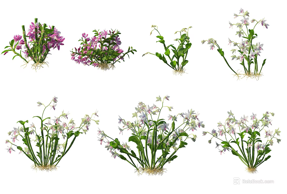 Various Types of Flowering Shrubs With Colorful Blooms and Root Systems 3d model 
