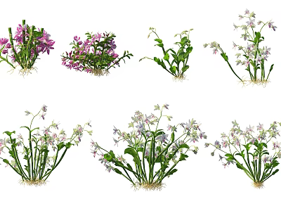 Various Types of Flowering Shrubs With Colorful Blooms and Root Systems 3d model