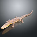 Crocodile 3D Model Lying on Black Surface With Reflection and Gradient Gray Background 3d model