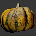 Fresh Yellow and Green Pumpkin with Textured Skin Healthy Organic Food Ingredient