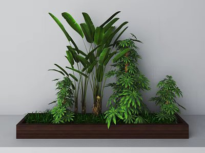Lush Bonsai Potted Plants With Various Green Foliage In Rectangular Wooden Container 3d model