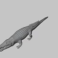 Detailed Crocodile 3D Model With Open Mouth And Scaly Skin