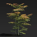 Arbor Featuring Green Orange Leaves And Slender Trunks On Dark Background With Shadow 3d model