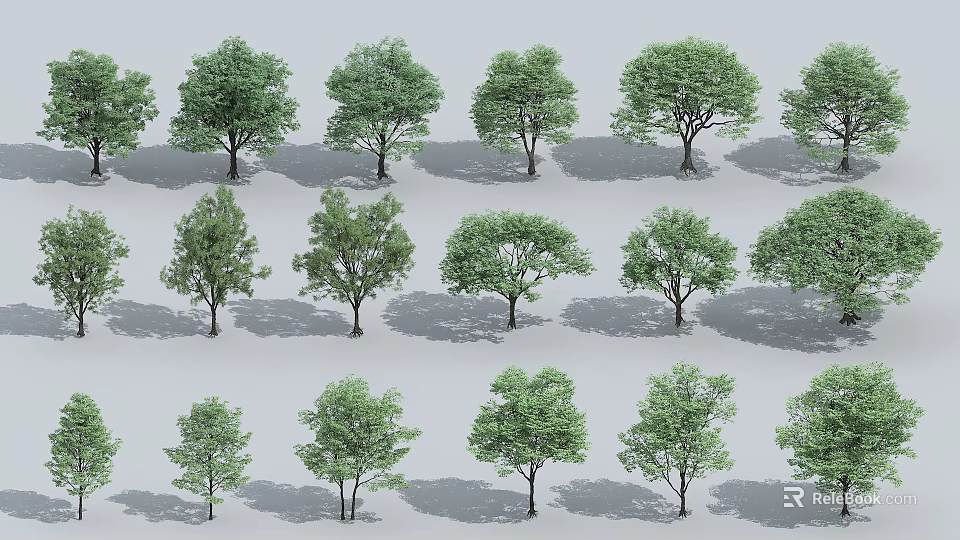 Various Types Of Trees With Different Sizes And Green Foliage Arranged In Rows 3d model 