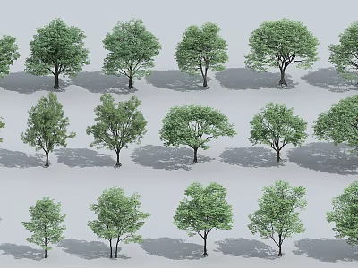 Various Types Of Trees With Different Sizes And Green Foliage Arranged In Rows 3d model