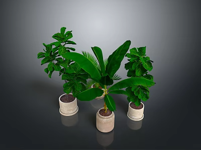 Fresh Culinary Herbs in Light Ceramic Pots for Home Cooking Preparation 3d model