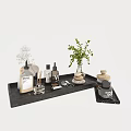 Modern Bathroom Set with Black Tray Bottles Aromatherapy and Green Plant Decor