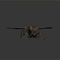 Realistic 3D Brown Fly Game Character With Transparent Wings And Large Eyes