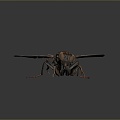 fly green head fly insect animal 3d model