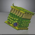 Detailed 3D Biological Organ And Hair Structure Model With Anatomical Features
