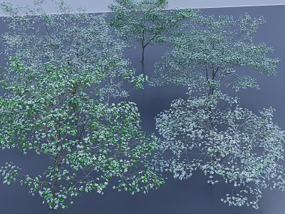 Green Arbor Trees With Lush Foliage In Natural Landscape Setting 3d model