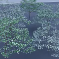 Green Arbor Trees With Lush Foliage In Natural Landscape Setting
