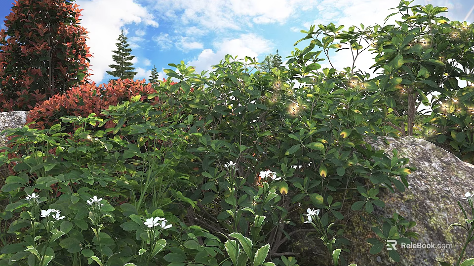 Lush Green Shrubs With White Flowers And Fresh Leaves Under Sunny Blue Sky In Garden 3d model 