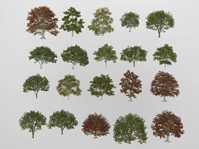 Various Types of Arbor Trees Showcasing Diverse Foliage Colors and Forms 3d model