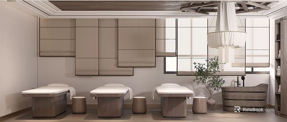 Relaxing SPA Sauna Interior Design With Massage Tables And Natural Plant Decor 3d model 