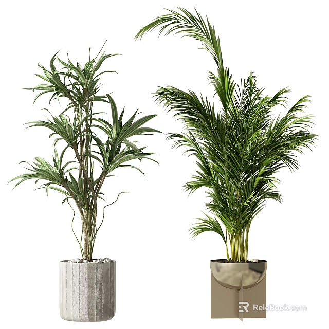 Decorative Indoor Palm Potted Plants With Lush Green Leaves In Concrete And Metallic Pots 3d model 