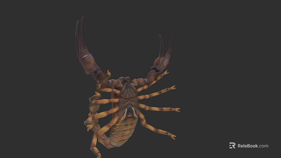 Detailed Scorpion Reptile Model With Large Pincers Segmented Body Yellow Brown Color And Multiple Legs 3d model 