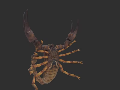 Detailed Scorpion Reptile Model With Large Pincers Segmented Body Yellow Brown Color And Multiple Legs 3d model