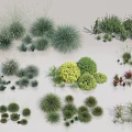 Assorted Grasses and Shrubs in Various Sizes Shapes and Foliage Colors