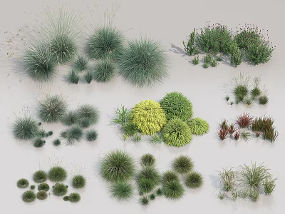 Assorted Grasses and Shrubs in Various Sizes Shapes and Foliage Colors 3d model