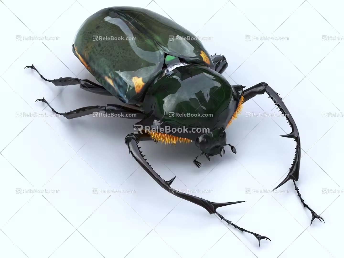 Yang color arm golden tortoise scarab beetle insect 3d model