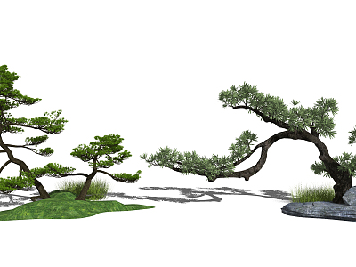 New Chinese Pine Garden Landscape Tree model