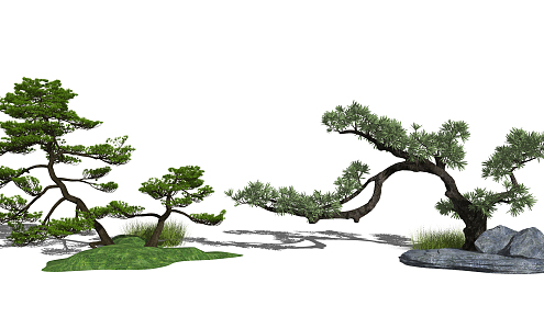 New Chinese Pine Garden Landscape Tree 3d model