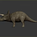 Realistic Triceratops Dinosaur Model With Detailed Skin Texture And Standing Pose