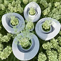 Modern Outdoor Chairs With Circular Design And Green Plants In Garden Setting