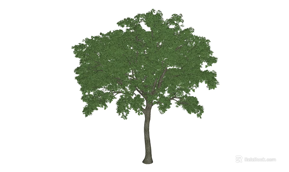 Lush Green Arbor With Dense Foliage And Straight Trunk Structure 3d model 