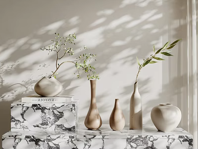 Different Shaped Ceramic Vases With Green Leafy Plants On Marble Tabletop And Natural Shadows 3d model