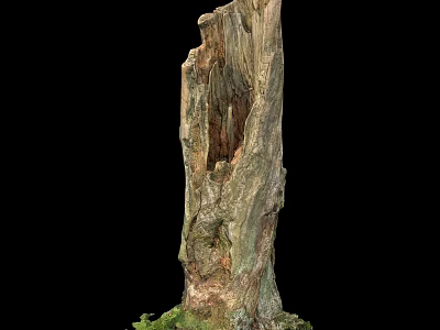Natural Stone Wood Weathered Texture With Rough Surface And Organic Shape 3d model