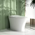 Modern White Toilet Design In Green Interior With Natural Light And Shadow