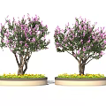 Bonsai Trees With Purple Flowers Thick Trunks And Yellow Floral Decoration Near Human Silhouette