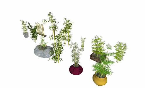 Bamboo Landscape Material Library 3d model