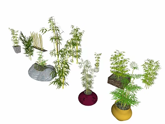 Bamboo Landscape Material Library 3d model