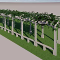 Outdoor White Pergola Structure With Lush Green Vines And Grass Lawn