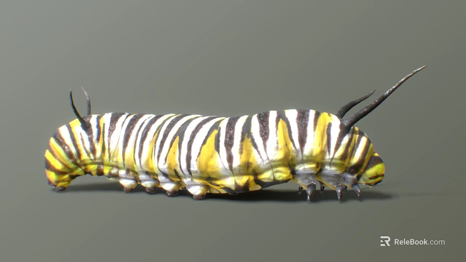 Vibrant Reptile With Yellow And Black Stripes Along Spiny Body Structure 3d model 