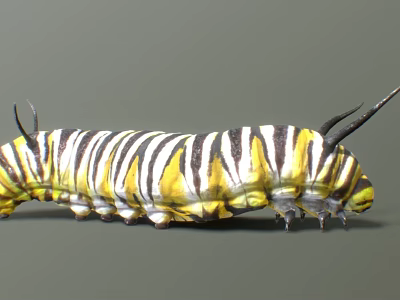 Vibrant Reptile With Yellow And Black Stripes Along Spiny Body Structure 3d model