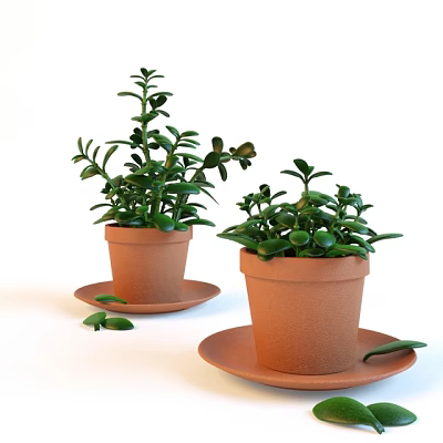 potted plant 3d model potted plant 3d model