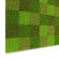 Different Types of Green Grass with Natural Shades and Textured Samples