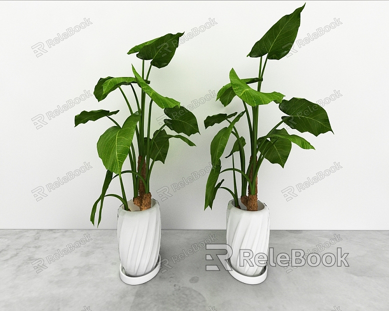 green plant model