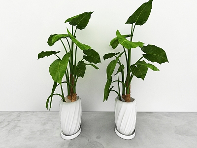 green plant model