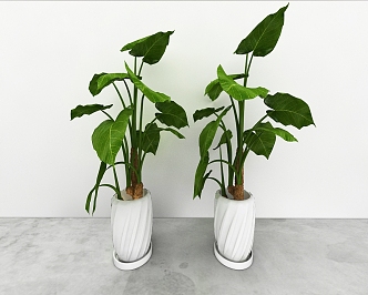 green plant 3d model